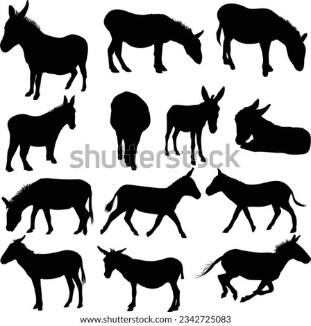 Set of donkey silhouettes. Animal silhouette Royalty-Free Stock Photo #2342725083