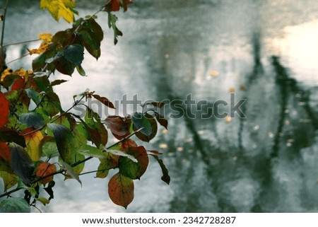 Autumn Landscape. Colourful foliage on the background of a blurred river