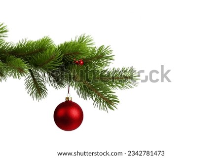 Single Red Christmas glass ball hanging from a pine branch, isolated on white with copy space.  Royalty-Free Stock Photo #2342781473