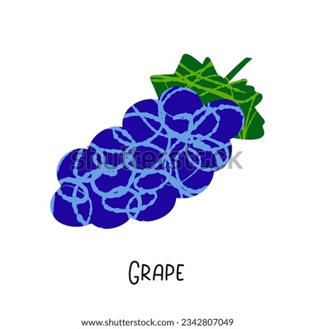 Blue Grape illustration with texture isolated on white background
