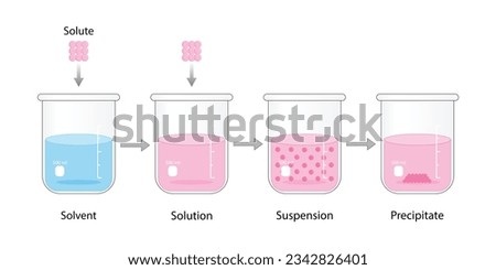 Solutions, suspension, precipitate. Solubility homogeneous mixture. Dissolving solids. Precipitation. Chemistry. Educational diagram, flask, isolated on white background. Vector illustration. Royalty-Free Stock Photo #2342826401
