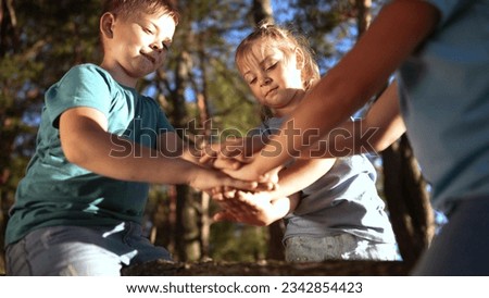 friendly team of children hands together in park. business friendship in kid camp concept. children put their hands together friendly team sit on the root of a tree in teamwork the forest park