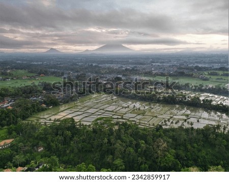rice fields ubud bali farm green sunrise volcano countryside land village indonesia agriculture