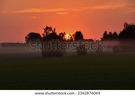 foggy sunset in the countryside of the city