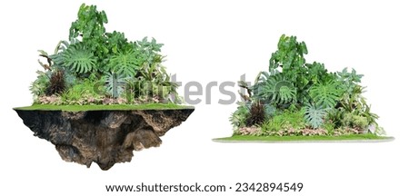 Additional edited front garden for use as raw materials in graphic design work. Isolated on white background.