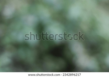 Banyuwangi, Indonesia - 5 Agust 2023 : Green blur natural background 