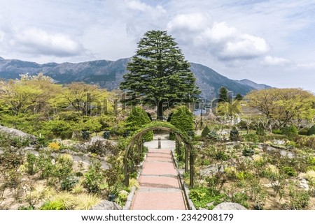Spring Gora Park (Hakone-cho, Kanagawa Prefecture) Royalty-Free Stock Photo #2342908179