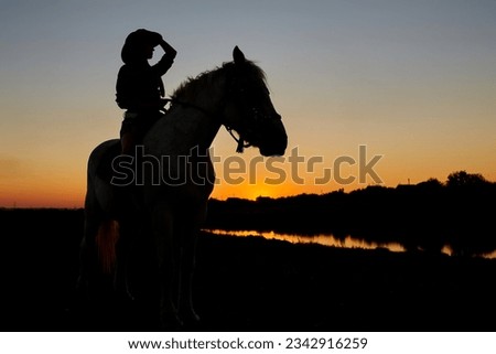 Silhouette of Cowboy, ride on Arabian horse stallion in colorful sunset. Romantic concept for safari background