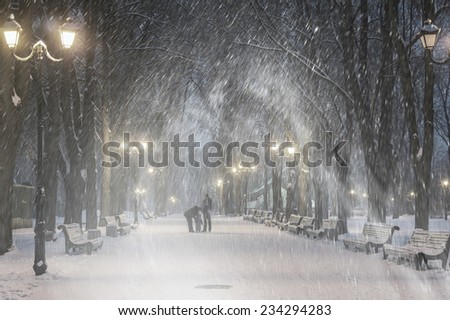 Severe weather in Kiev citizens favorite park, twilight hid fog and snowfall old trees, fall asleep benches, lights shine through the mist,  a strong wind blows snowflakes quickly through the branches