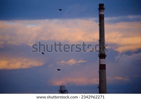 Industrial pipe, with many birds around it, on the background of blue thick clouds. Evening time