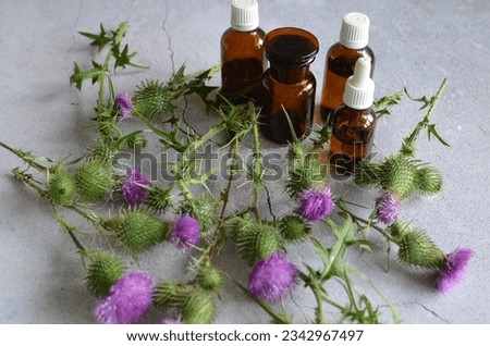 Milk thistle is one of the best natural remedies for liver disease and overall liver regeneration. Royalty-Free Stock Photo #2342967497