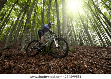 Rider in action at Freestyle Mountain Bike Session Royalty-Free Stock Photo #234299551