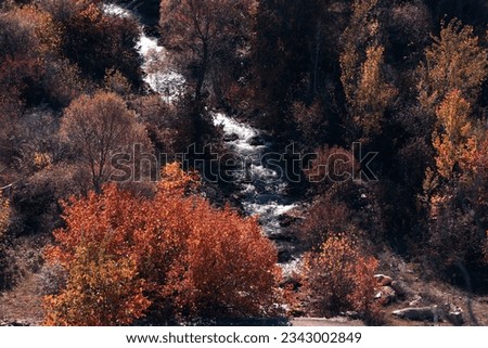 autumn, autumn landscapes, mountains, yellowed trees, cinematic photography, red, yellow, orange, stream, waterfall, stream, river and autumn