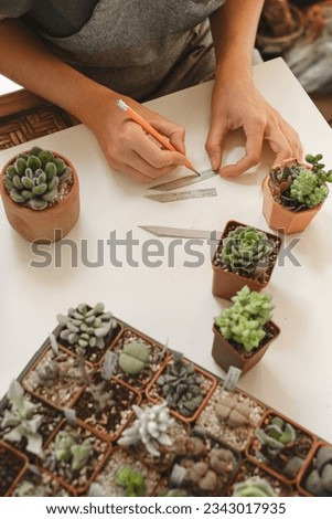 Labeling succulent plants in pots for sale. Woman lorist writing titles for houseplants in own collection. Hobby and small business concept. Repotting and organizing
