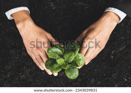 Top view businessman growing plant on fertile soil with his hand promoting forest regeneration and eco awareness. Ethical green business contribute eco-friendly policy to preserve ecology. Alter