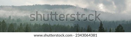 Mountain taiga, a wild place. Coniferous forest, morning fog, panoramic view. Royalty-Free Stock Photo #2343064381