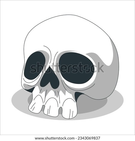 Anatomically correct human skulls set isolated. skull line art vector illustration. Human skull. Isolated on white background. Side and front views. Anatomy and medicine concept. 2258