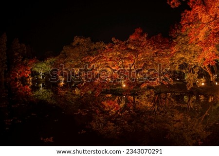 An autumn night light-up in the Kyoto Botanical Gardens in Kyoto, Japan.