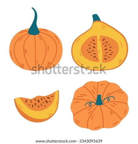 Autumn set of orange ripe pumpkin