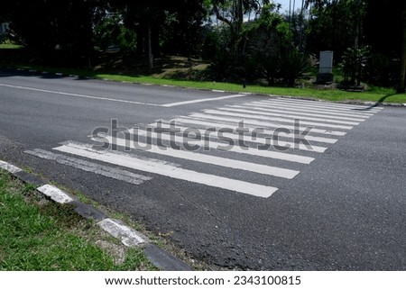 pedestrian crossing, white stripes on black asphalt, road markings zebra crossing. deserted no one walking