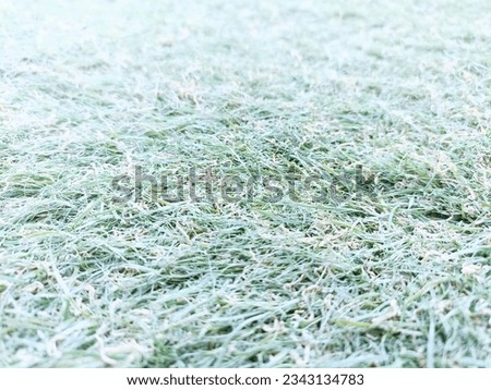 Closeup view and texture from the green synthesis grass field.