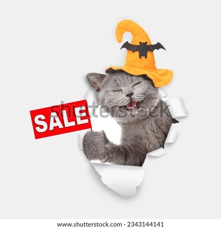 Happy cat wearing hat for halloween looks through a hole in white paper and shows signboard with labeled "sale"