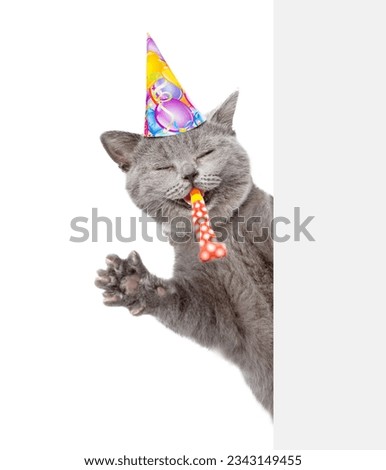 Happy cat wearing party cap blows in party horn and looks from behind empty white banner. isolated on white background