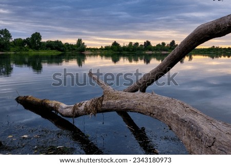 in the evening at a lake with a tree in the wate