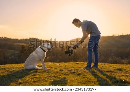 Cute dog (labrador retriever) posing for filming on meadow at sunset. Videographer holding gimbal with camera.
 Royalty-Free Stock Photo #2343193197