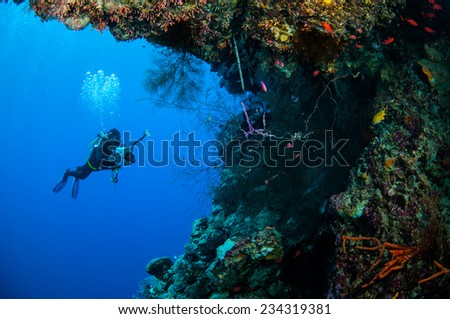 Diver swimming in Banda, Indonesia underwater photo. DIver is taking pictures.