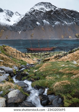 The Bayard; Ocean Harbour, South Georgia; Waterfall above the Bayard; Ocean Harbour, South Georgia; Wreck of the Bayard, with lichen covered rocks, in foreground; Ocean Harbour, South Georgia
