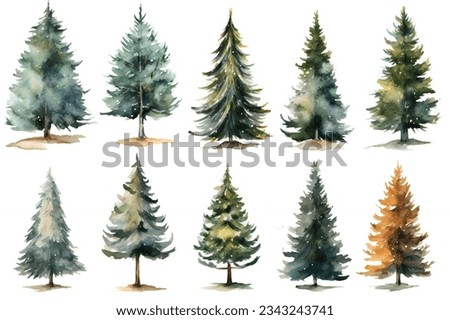 Watercolor Christmas Pine tree clip art on white background
