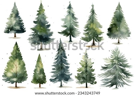 Watercolor Christmas Pine tree clip art on white background