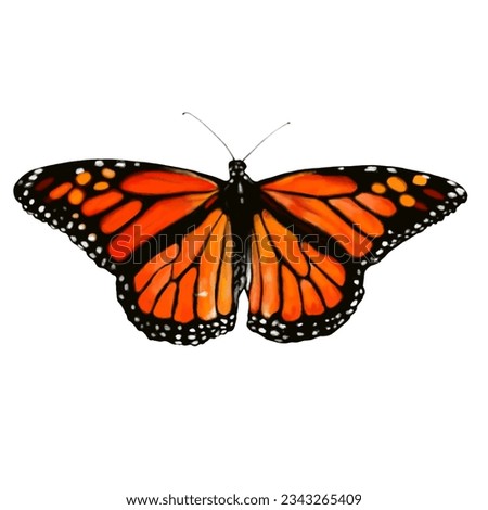Hand Drawn Realistic Butterfly Clipart, Monarch Butterfly PNG, Butterflies illustration Clip Art, Instant Digital Download, Printable event decorations, cards, posters, packaging, patterns, posters