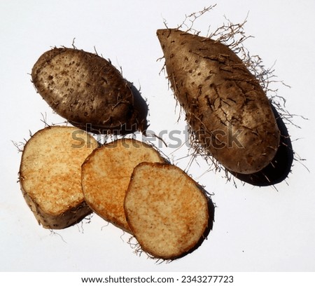 
Chinese yam. Dioscorea esculenta. lesser yam.

Lesser yam (D. esculenta), grown on the subcontinent of India, in southern Vietnam, and on the South Pacific islands, is one of the tastiest yams.		 Royalty-Free Stock Photo #2343277723