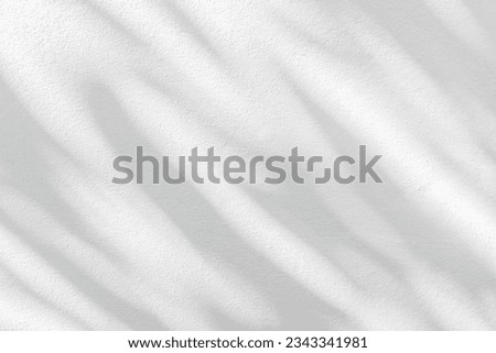 Light and shadow of leaf abstract grey background. Natural shadows and sunshine diagonal refraction on white concrete wall texture. Shadow overlay effect for foliage mockup, banner graphic layout
 Royalty-Free Stock Photo #2343341981