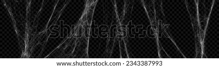 Realistic stretched spider web set. Vector cobweb illustration for halloween design Royalty-Free Stock Photo #2343387993
