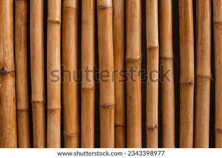 Close up bamboo fence. Wood texture