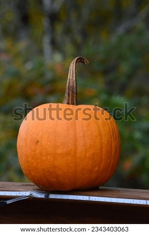 Closeup of pumpkin sitting on porch railing.