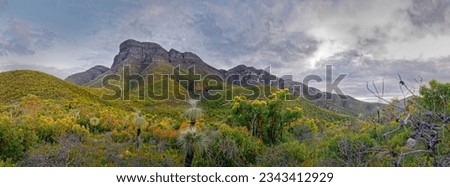 Stirling Range or Koikyennuruff landscape scenery, beautiful mountain National Park in Western Australia, with the highest peak Bluff Knoll. Panoramatic view to the rocky mountains. Royalty-Free Stock Photo #2343412929