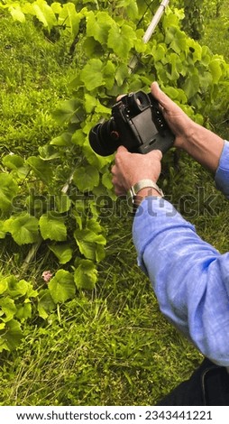 Photographer taking a photo of grape vineyard in the countryside