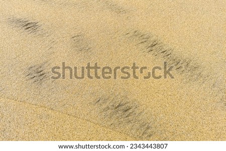Wet beach sand water and waves texture and pattern in Zicatela Puerto Escondido Oaxaca Mexico.