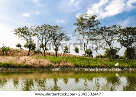Photo of the view of the irrigation reservoir in Pilang village, Blora, Indonesia
