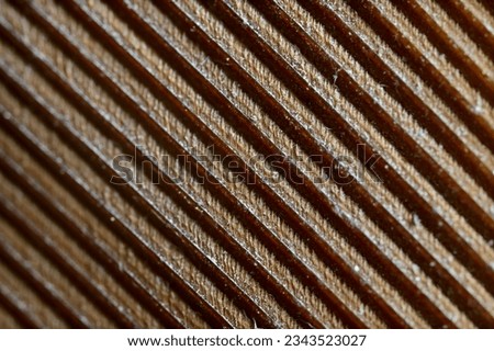 Macro view of Peahen feather revealing its texture and patterns, India.
