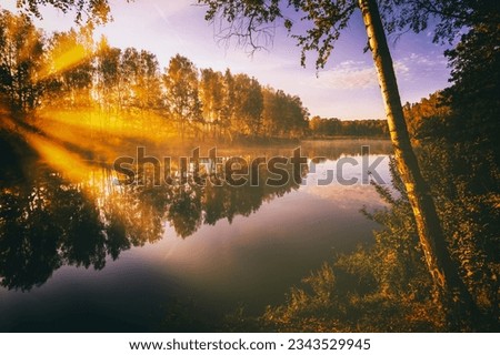 Dawn on a lake or river with a dramatic cloudy sky reflected in the water, birch trees on the shore and the sunbeams breaking through them and fog in autumn. Aesthetics of vintage film.