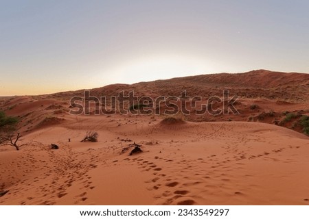 View from the top of the gorgeous Elim Dune over Namib-Naukluft National Park in Namibia
