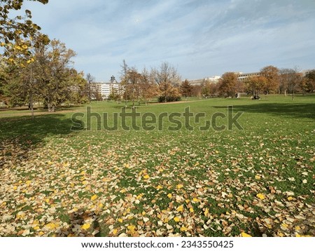 Large field in the park in autumn 
