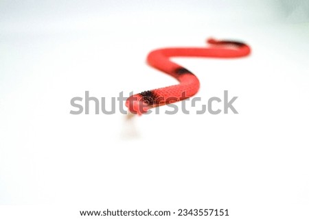 Snake Toy on White Background