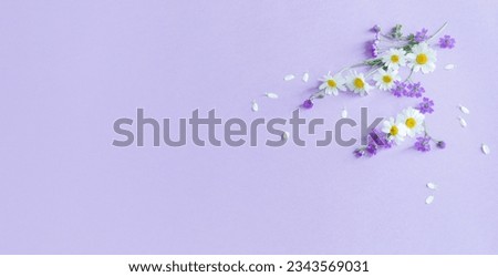 wild flowers on purple paper background