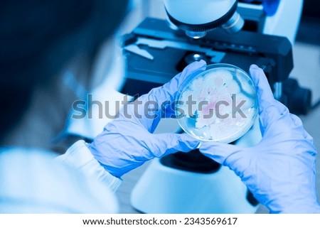 Scientist holding agar plate for diagnosis bacterial or  microorganism, blurry microscopy background at laboratory. Selective petri dish with colonies of bacteria under the lens of a microscope. Royalty-Free Stock Photo #2343569617